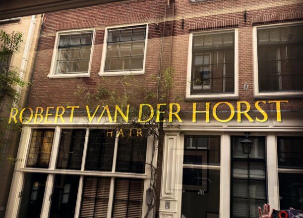 Robert van der Horst Hair